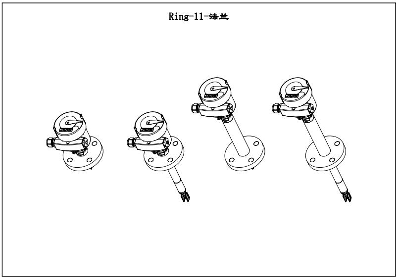 Ring-11防腐型音叉液位開關（法蘭）